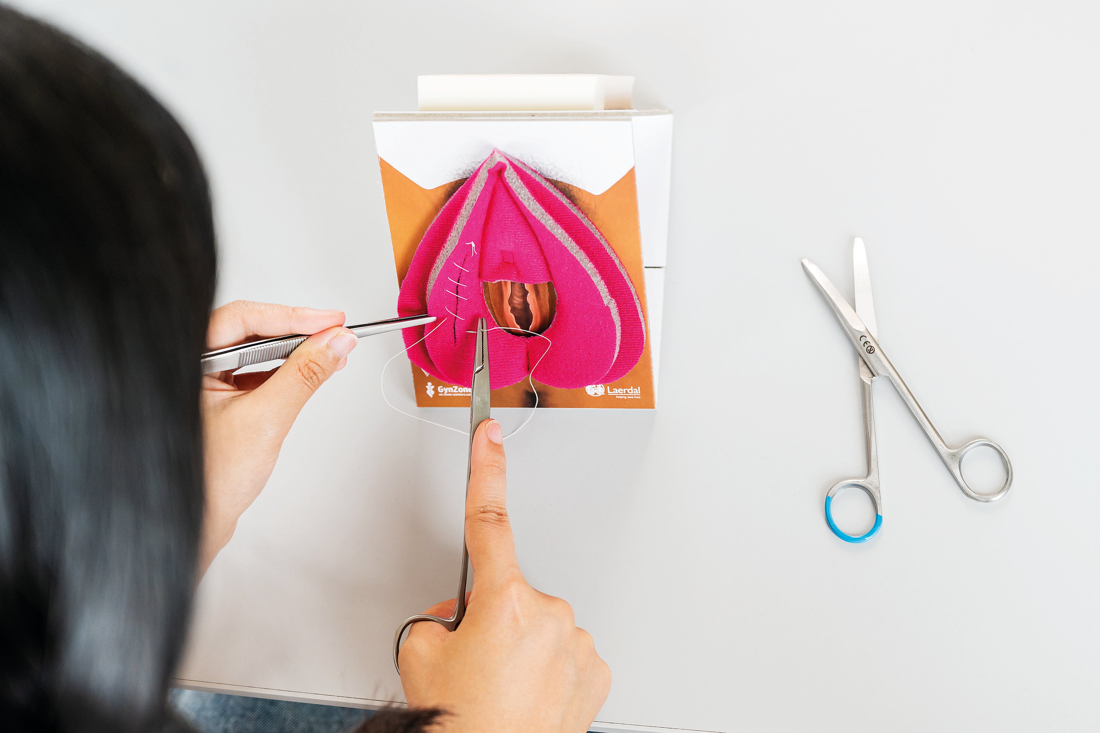 Modelo de reparación de labios vaginales