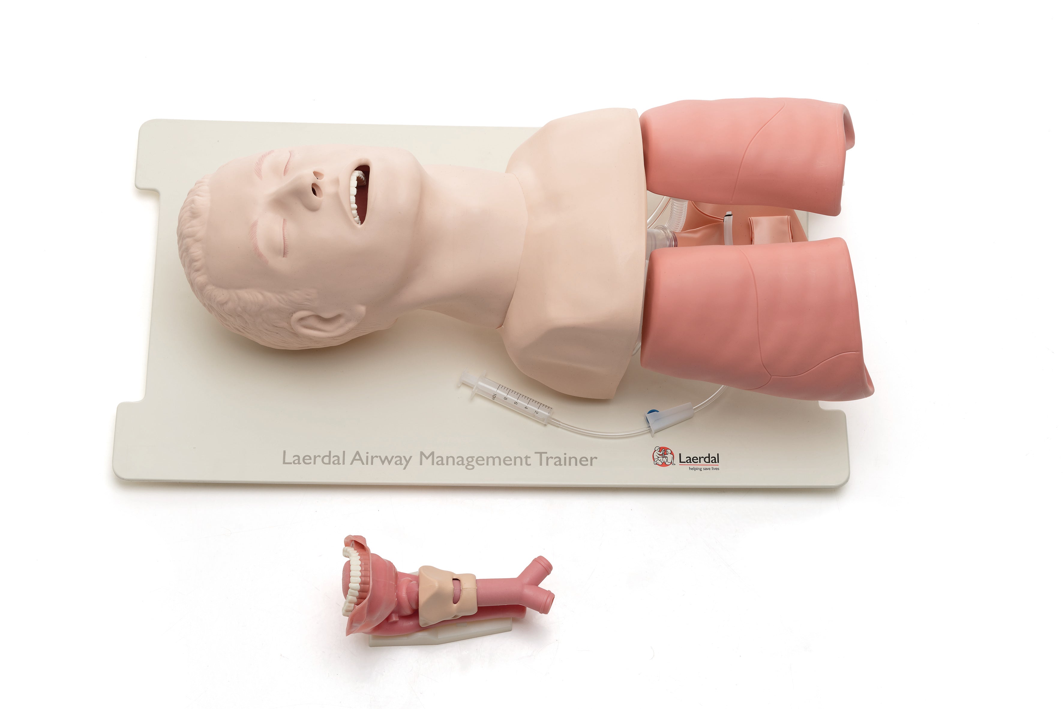 Laerdal Airway Management Trainer (AMT)