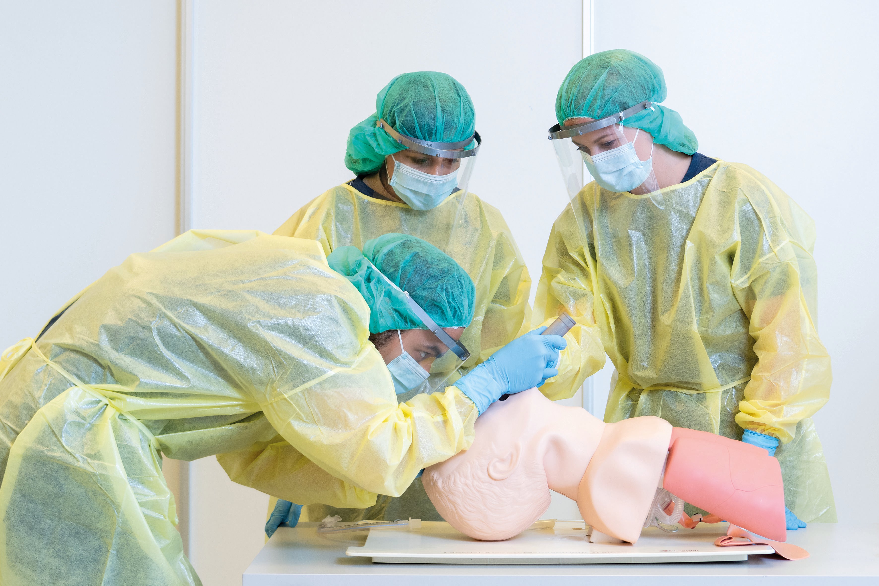 Laerdal Airway Management Trainer (AMT)