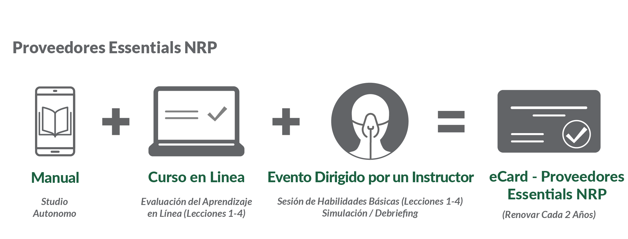 Neonatal Resuscitation Program 8th Hybrid eCourse